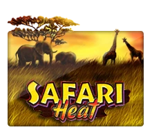 Joker123 : Safari Heat - LUCKYGAMING138
